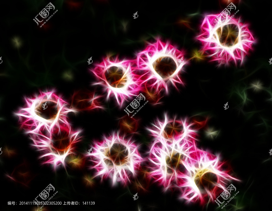 長(zhǎng)壽菊,抽象畫,裝飾畫,無(wú)框畫
