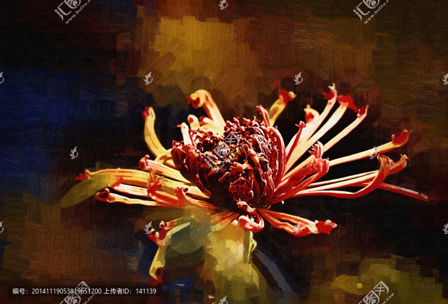 秋菊,花卉油畫,裝飾畫,無框畫