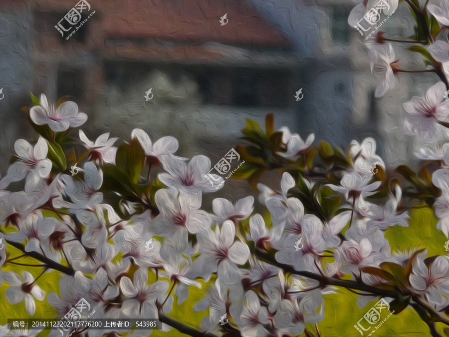 油畫李子花
