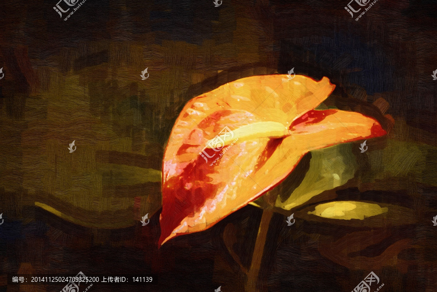 紅掌,花卉油畫,油畫,裝飾畫