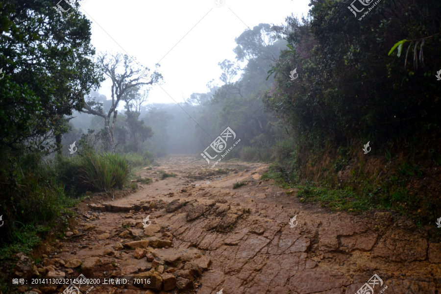 斯里兰卡风光,山路