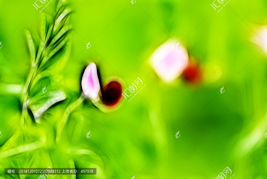 裝飾畫,花