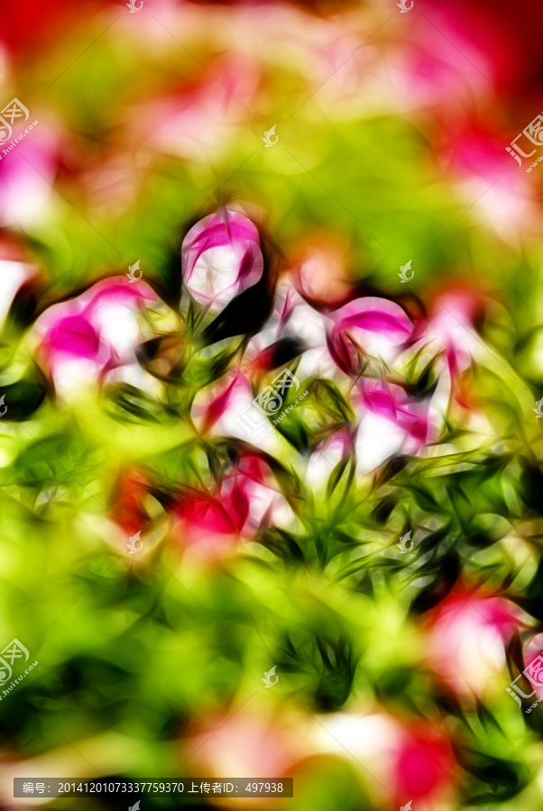 裝飾畫,花