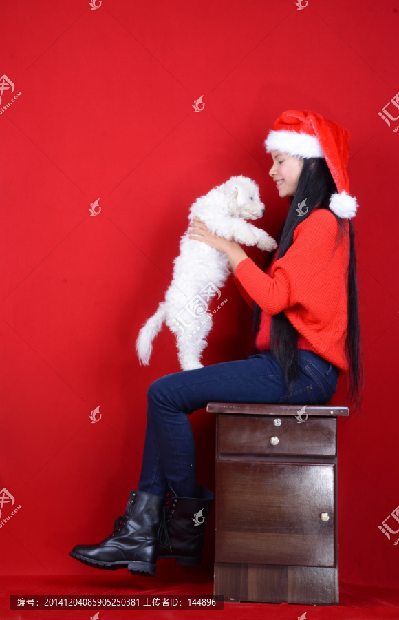 女人,小狗,圣诞节