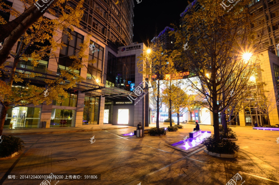 昆明街头银杏夜景