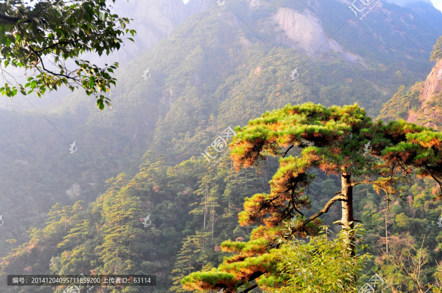 黄山风光,云雾,风雨黄山,云海