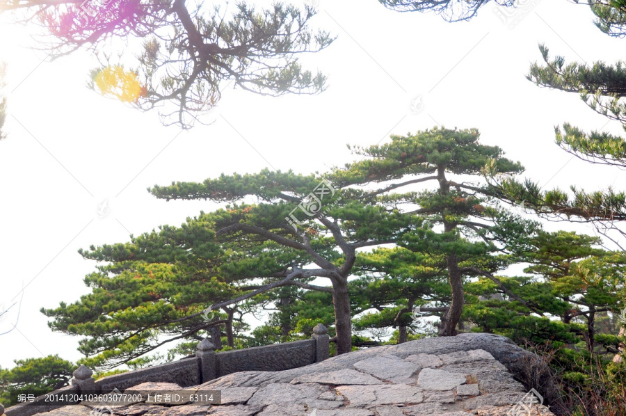 黄山风光,云雾,风雨黄山,云海