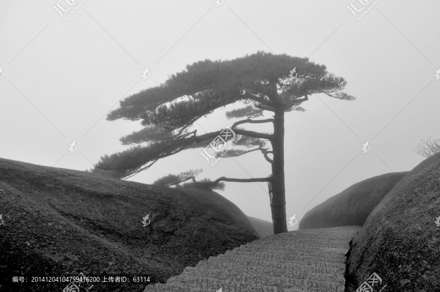 黄山风光,云雾,风雨黄山,云海