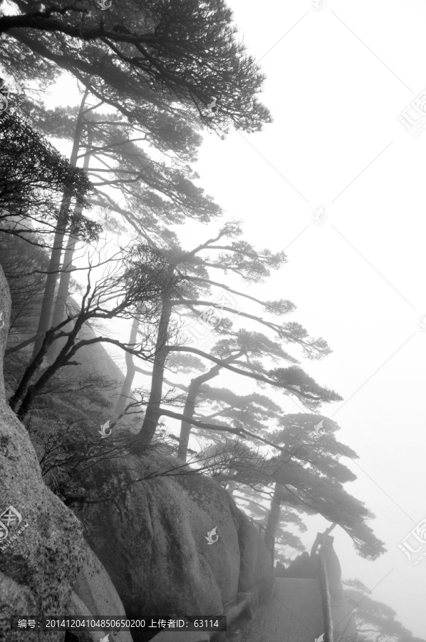 黄山风光,云雾,风雨黄山,云海