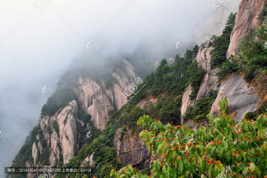 黄山风光,云雾,风雨黄山,云海