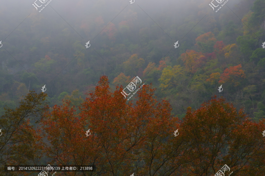 秋天的風景