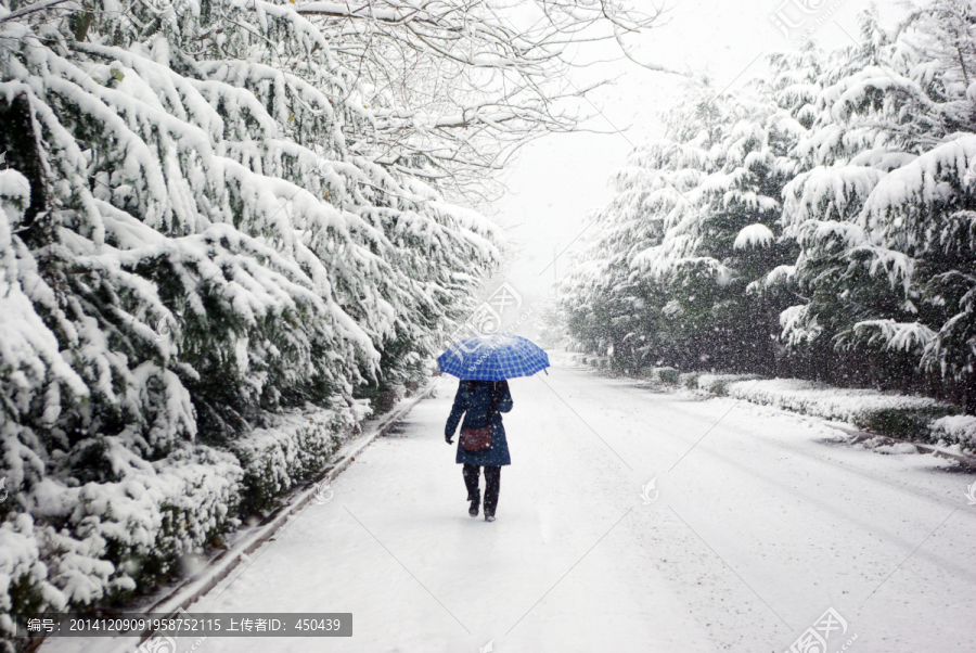 雪中行