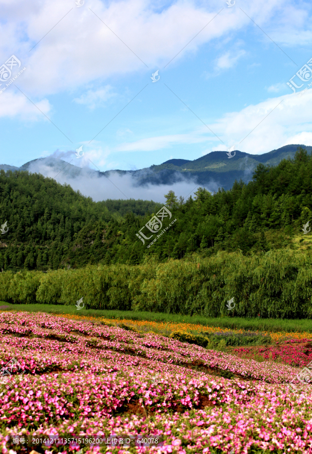 山水田园自然风光