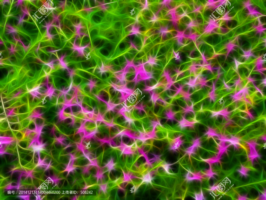 抽象花卉