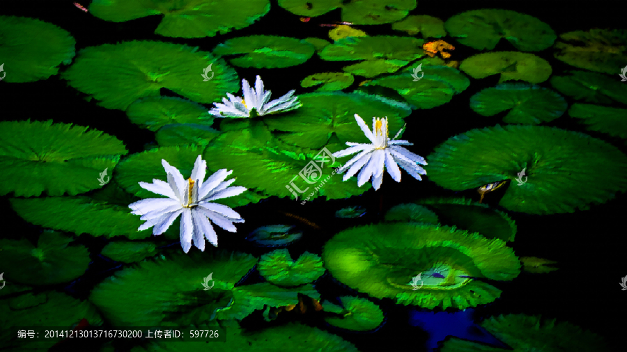 油畫蓮花