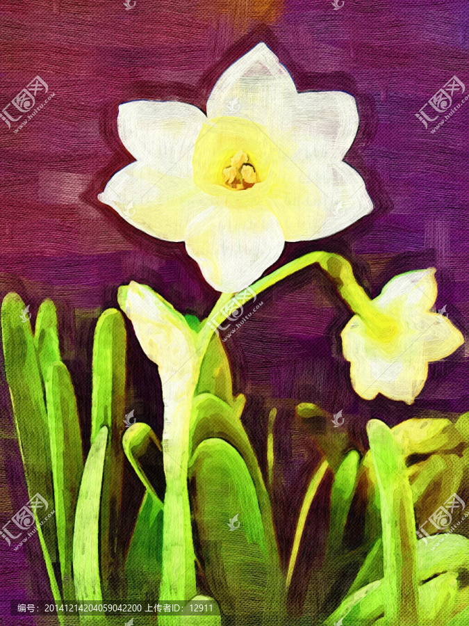 水仙,花卉裝飾畫