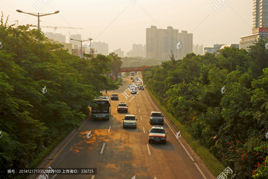 城市道路干道绿化