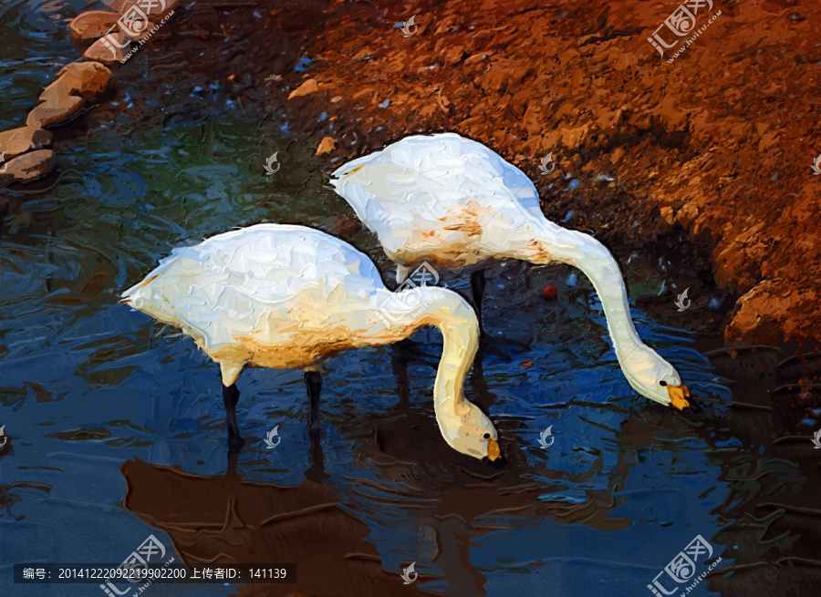 天鵝油畫,裝飾畫,無框畫,繪畫