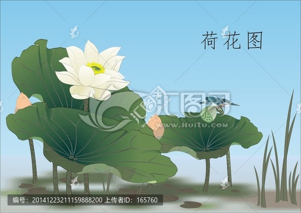 國畫荷花矢量圖