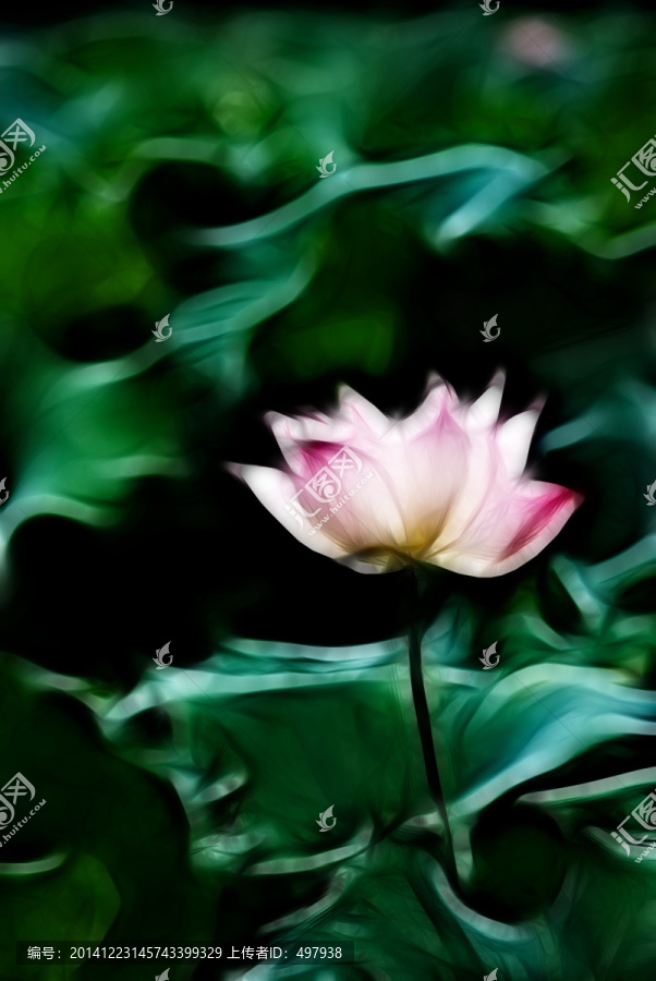 裝飾畫,荷花