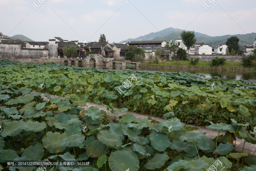 安徽黄山市呈坎古村