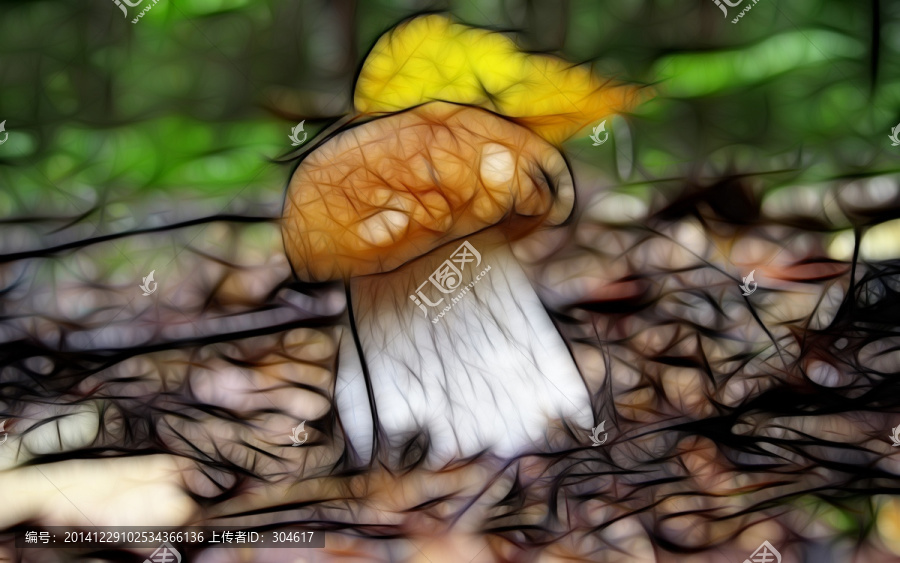 蘑菇裝飾畫