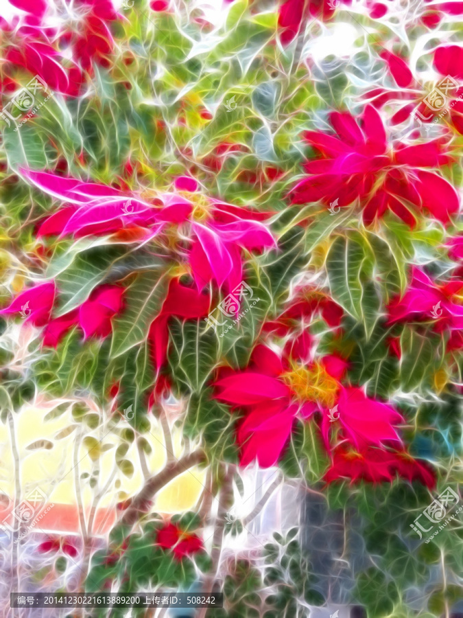 抽象花