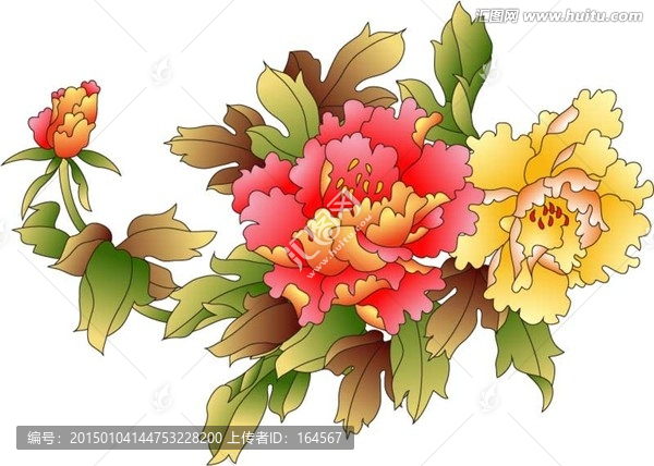 花卉,牡丹矢量圖