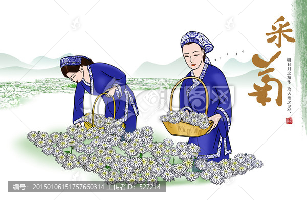 采菊圖