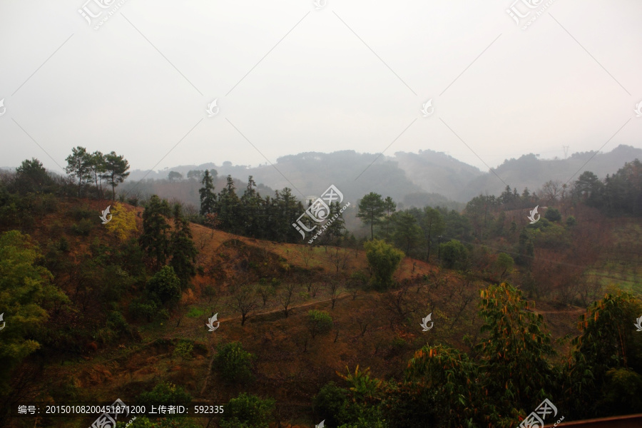 平乐大发山区