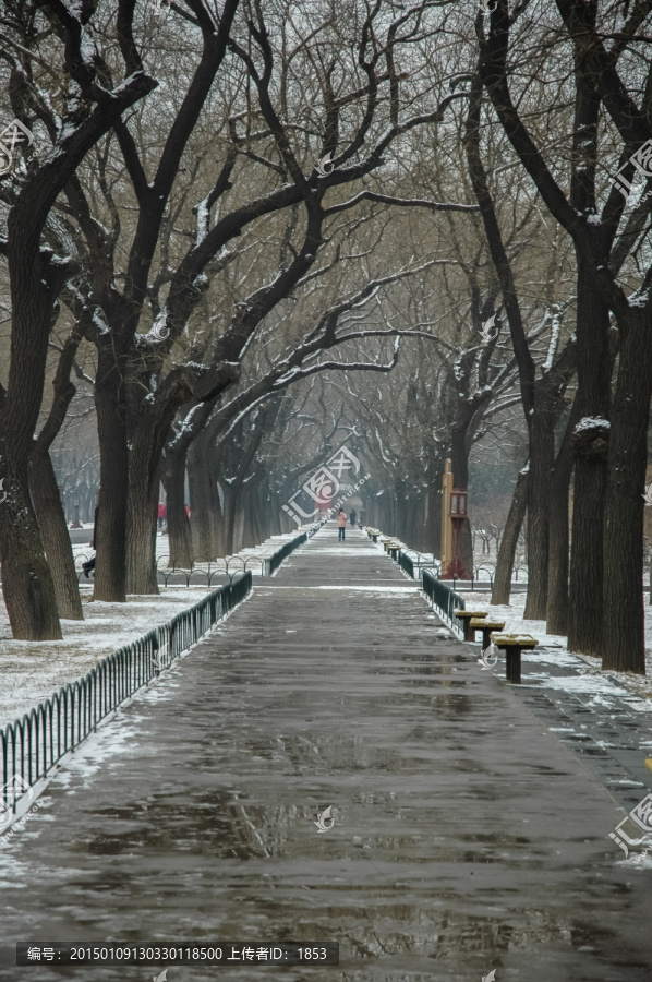 天坛小路