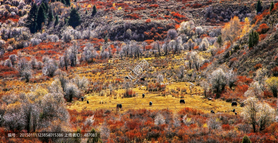 山川秋色