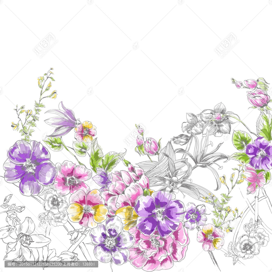 手繪素描花卉,有圖層