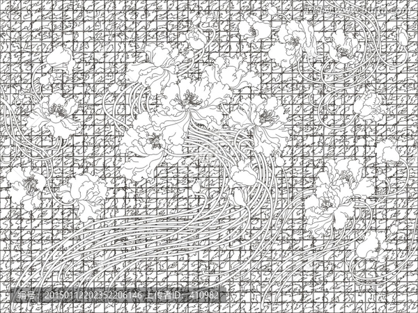 牡丹花