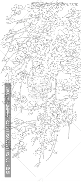 玉蘭花