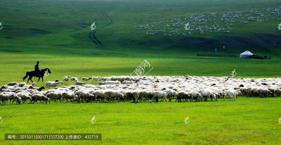 呼伦贝尔草原牧场,羊群,蒙古包