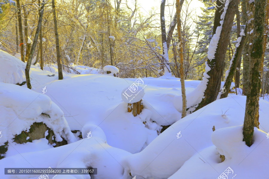 冰雪旅游