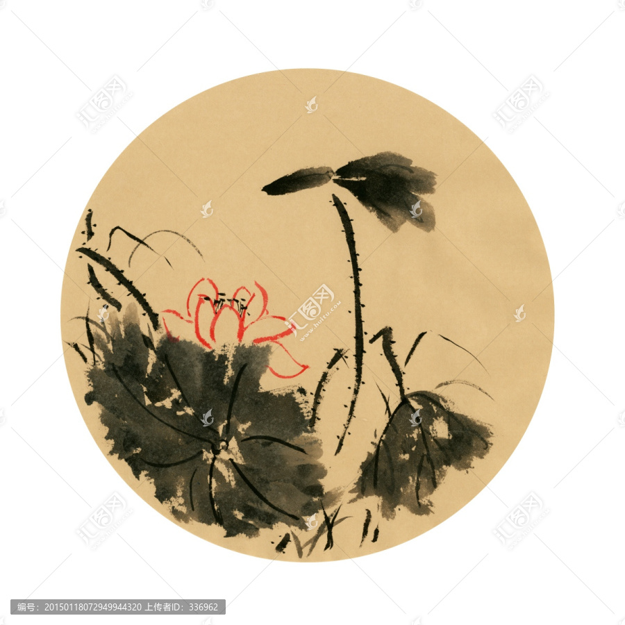 荷花圖