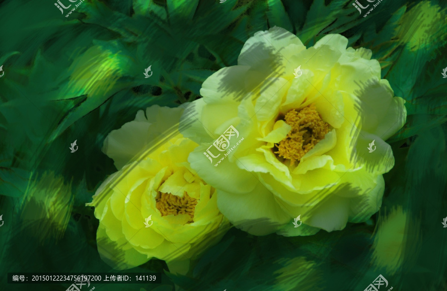 水墨牡丹花