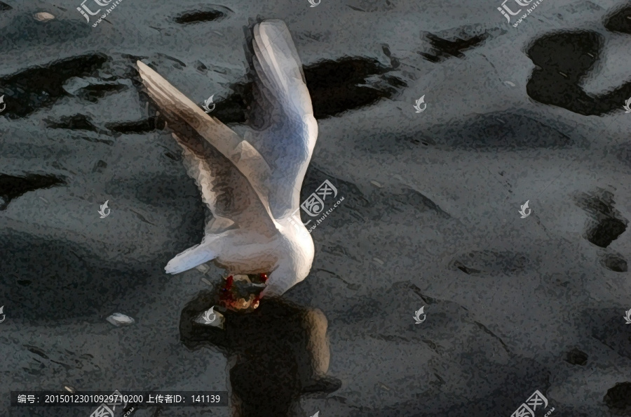 海鷗油畫