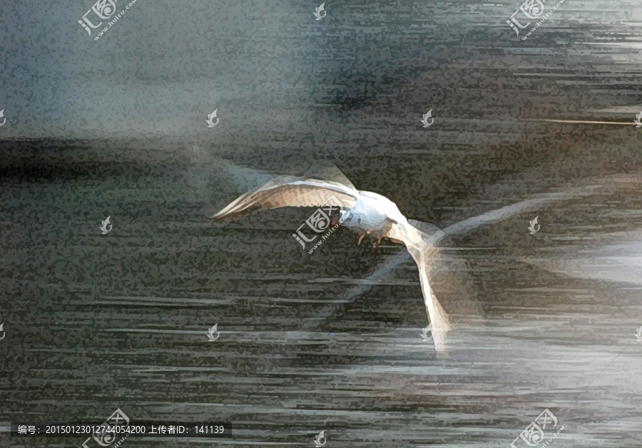 海鷗油畫