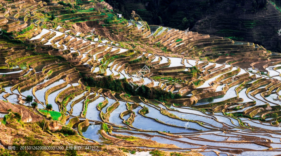 哀牢山红河梯田