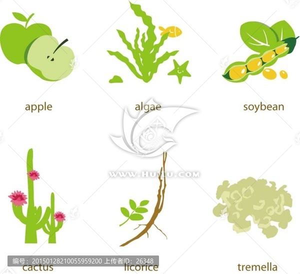 植物插圖