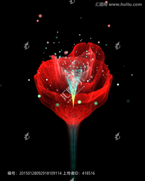 一朵玫瑰花