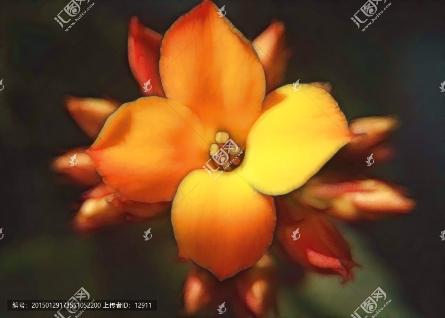 花卉裝飾畫