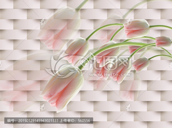 3D郁金香