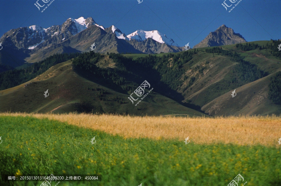 高原风光,天山风光