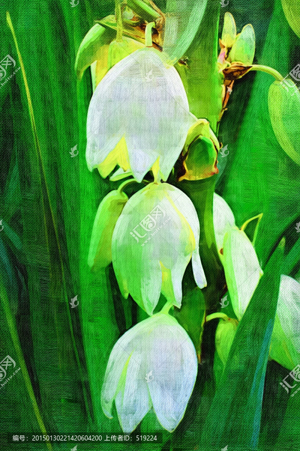 花朵,藝術(shù)畫,TIF無分層