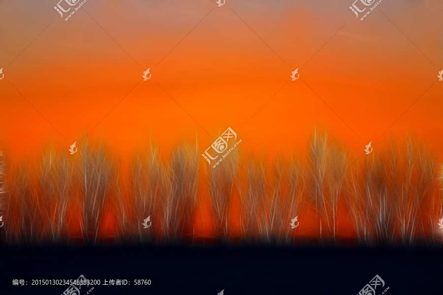 電腦畫(huà),夕照樹(shù)林