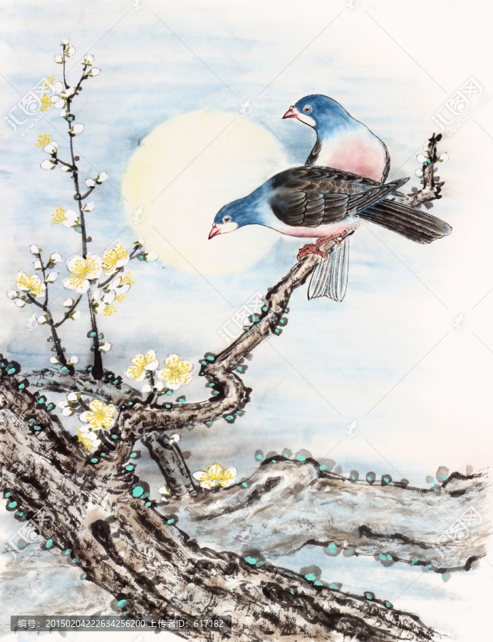 清新,原創(chuàng)國畫,月夜寒梅,鴿子